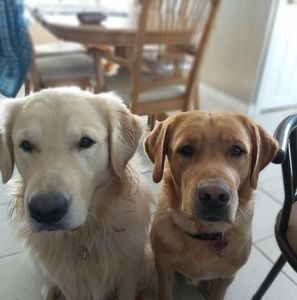 Meet your Posher, Madeleine